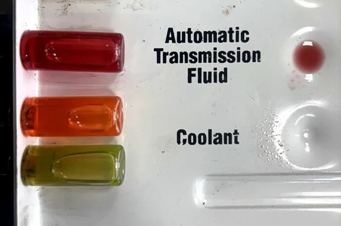 Automatic transmission fluid condition compared on a test card at Auto Tech Services